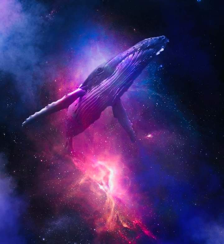 High Consciousness Water